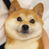 王 湘祺 사진